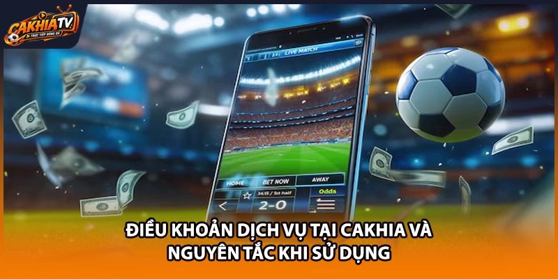 Điều Khoản Dịch Vụ Tại Cakhia Và Nguyên Tắc Khi Sử Dụng