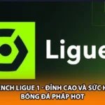 French Ligue 1 - Đỉnh Cao Và Sức Hút Bóng Đá Pháp HOT